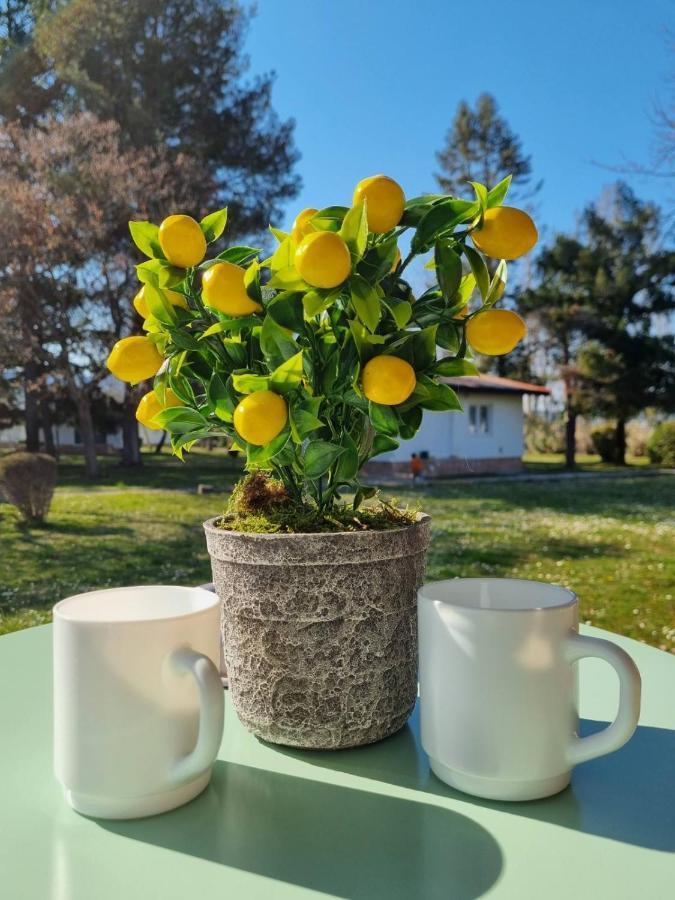 Fuk-Tak'S Bungalow Dojran Zewnętrze zdjęcie